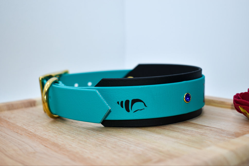 Collier Ocean Rise BioThane® 25 ou 38mm