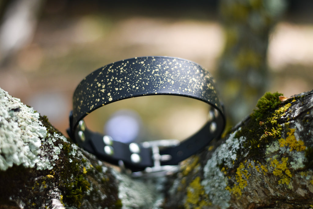 Collier Kiwi BioThane® 38mm