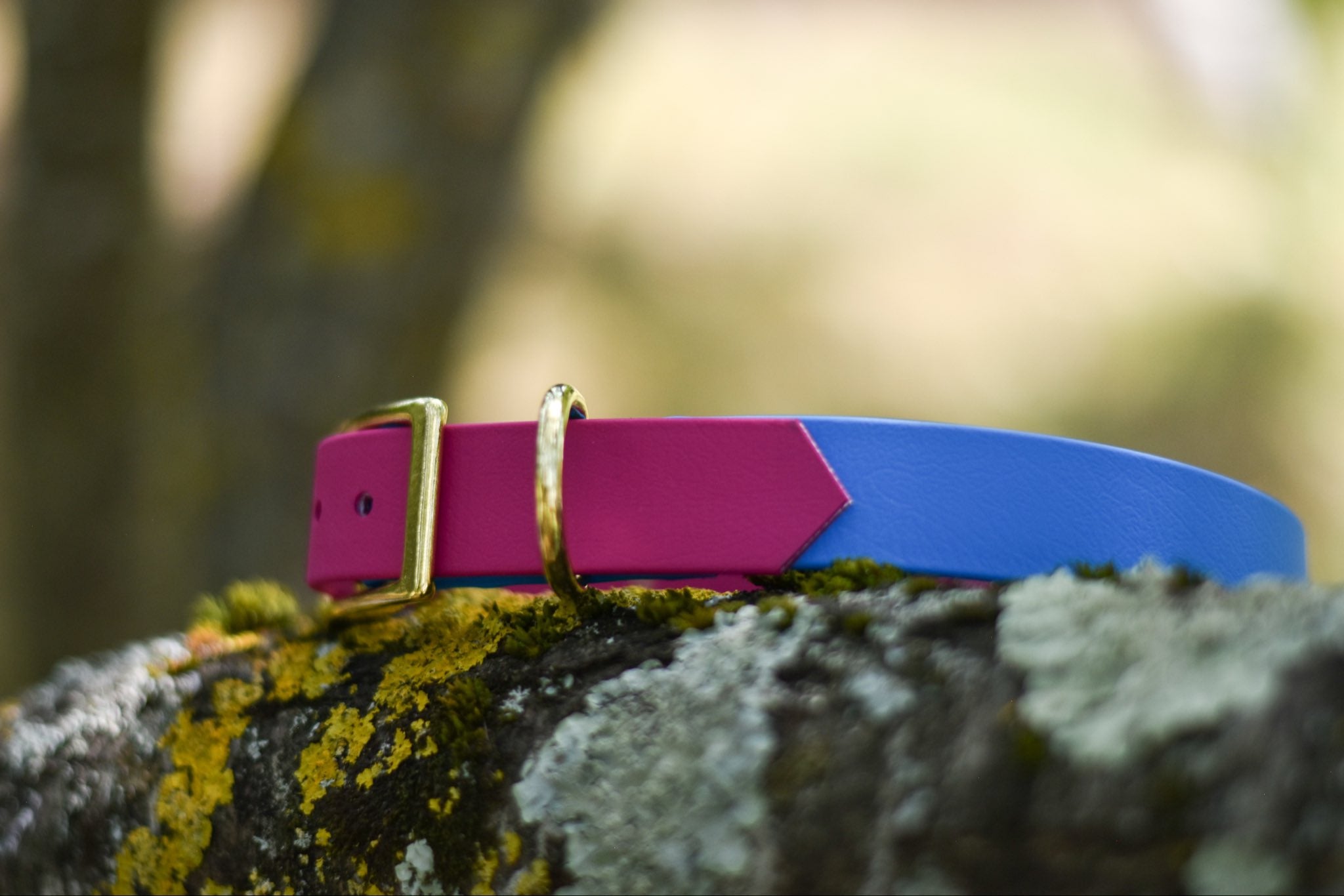 Collier bicolore BioThane® 25mm