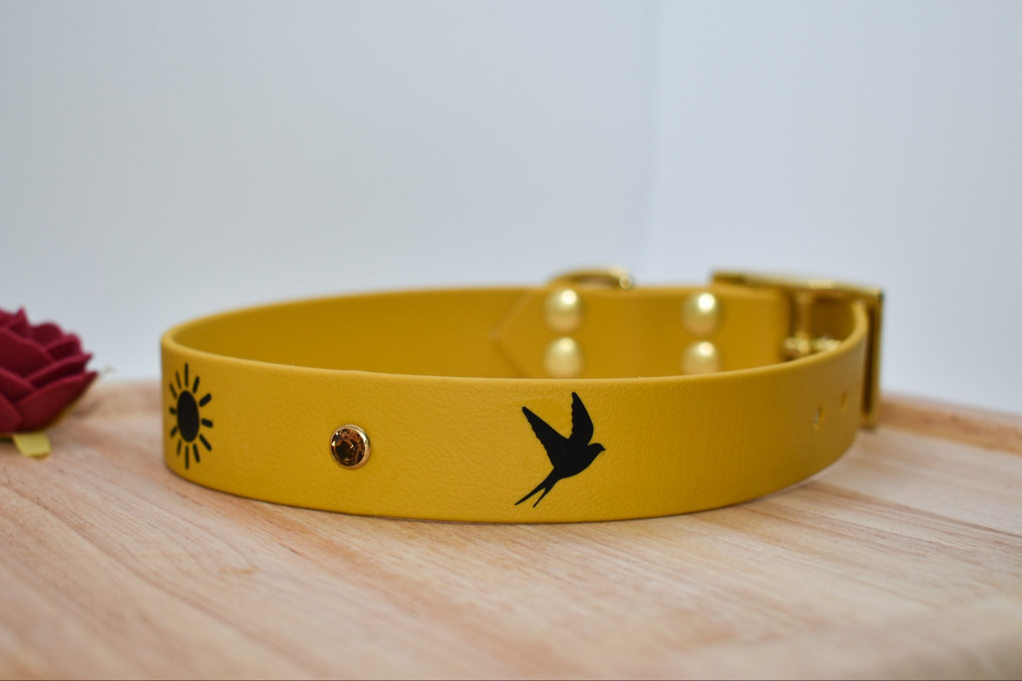 Collier Sunrise BioThane® 25 ou 38mm
