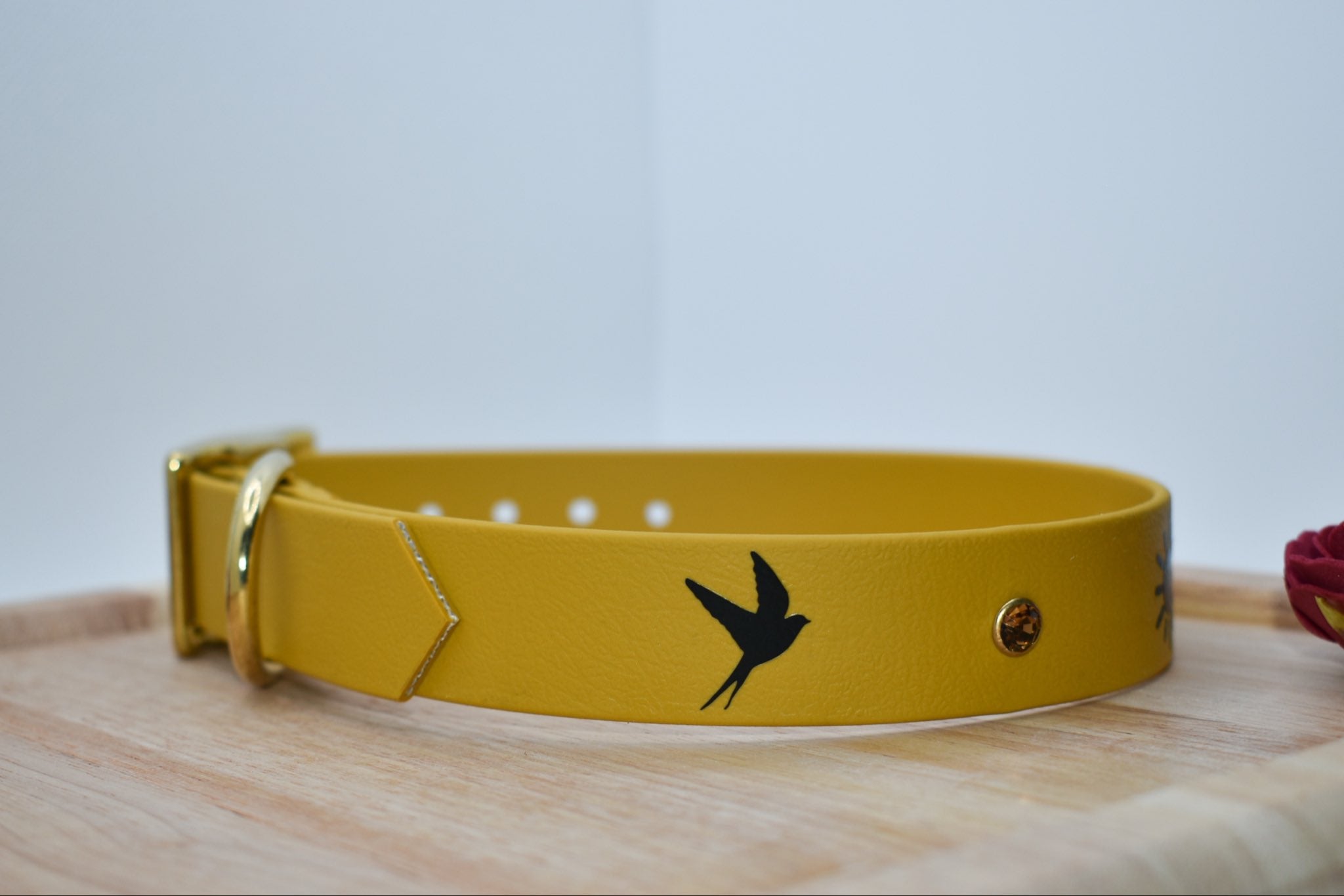 Collier Sunrise BioThane® 25 ou 38mm