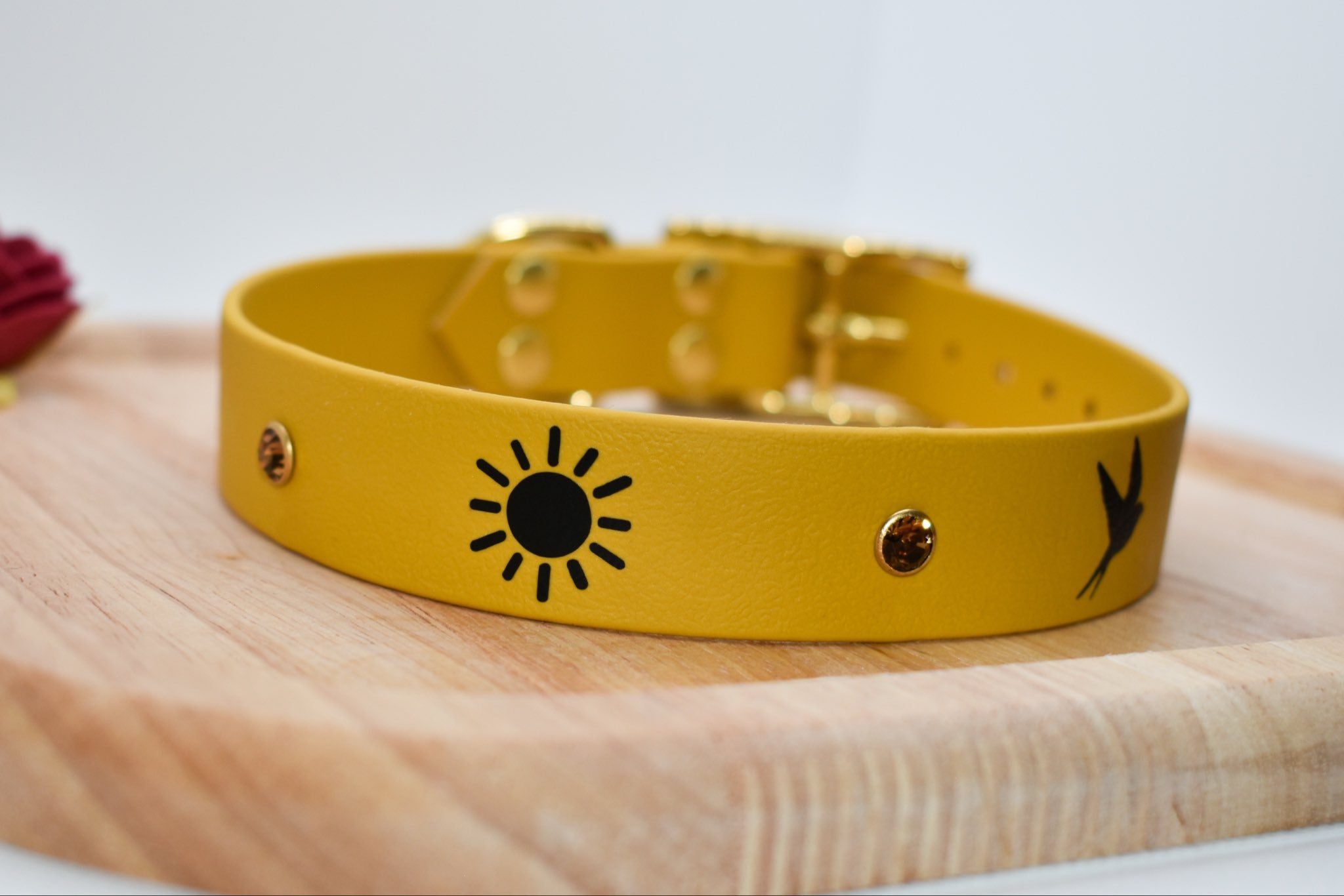 Collier Sunrise BioThane® 25 ou 38mm