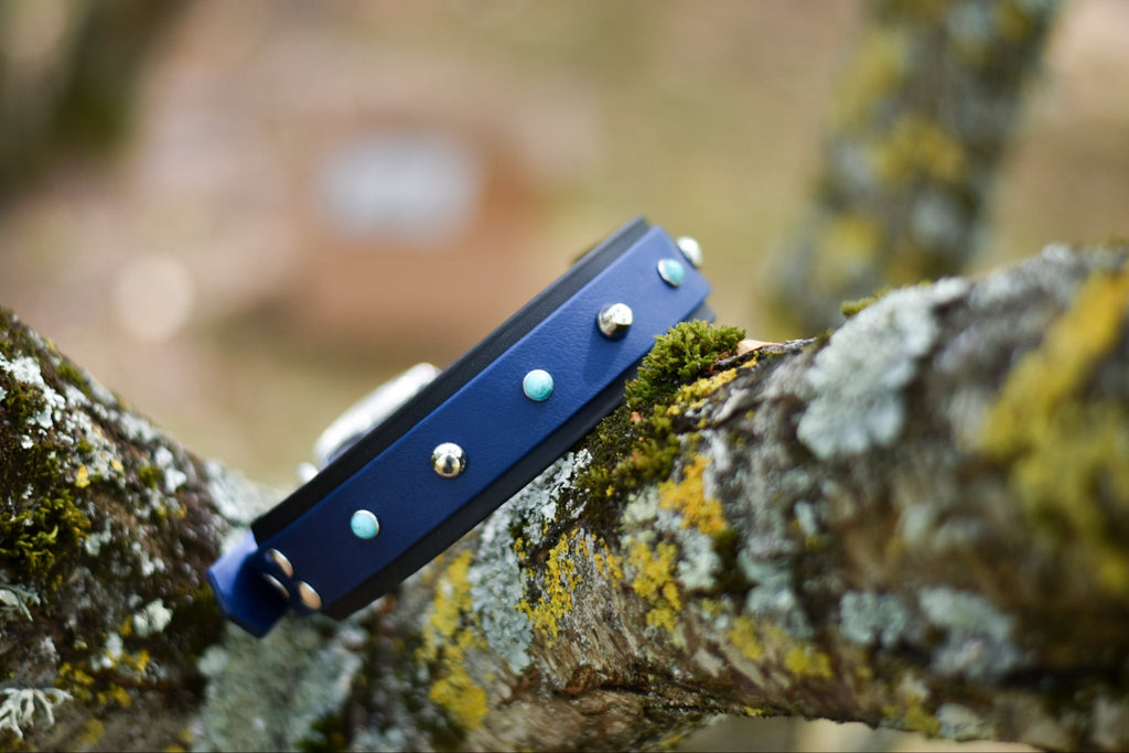 Collier Cisco BioThane® 25 et 38mm
