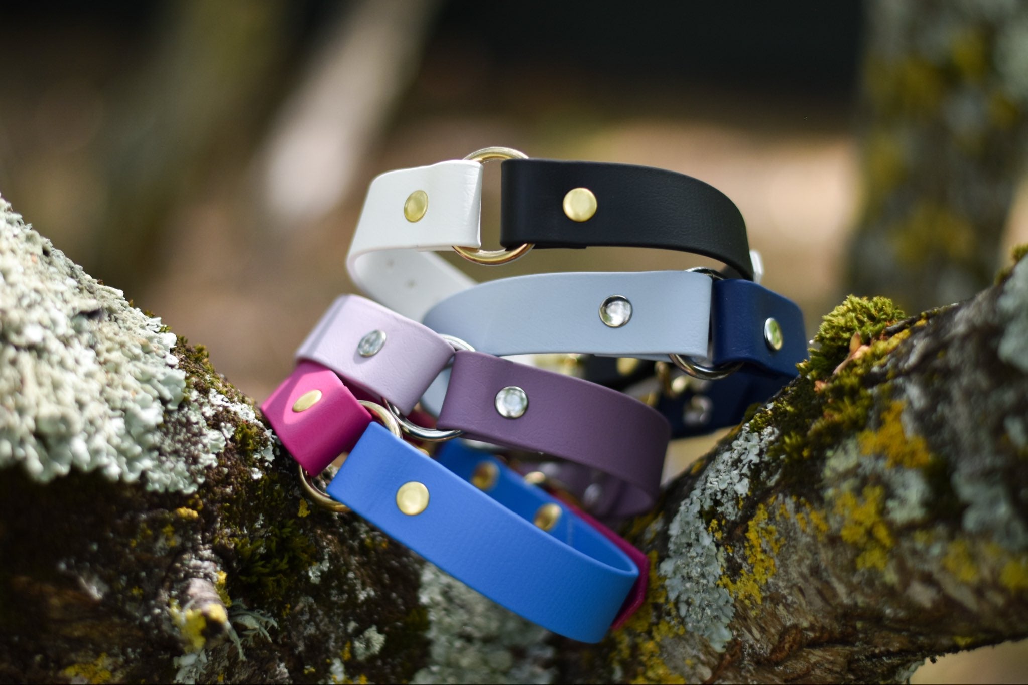 Collier bicolore BioThane® 25mm