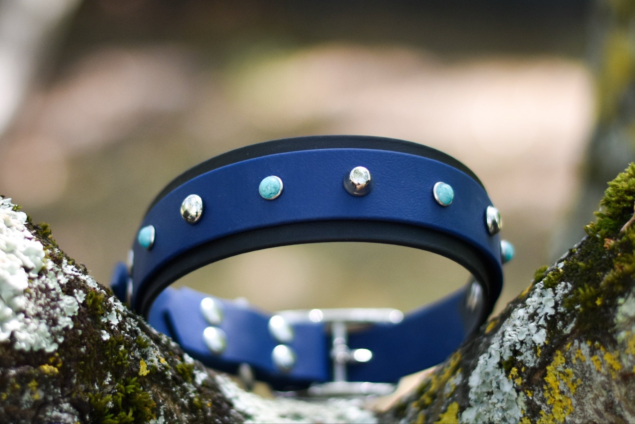 Collier Cisco BioThane® 25 et 38mm
