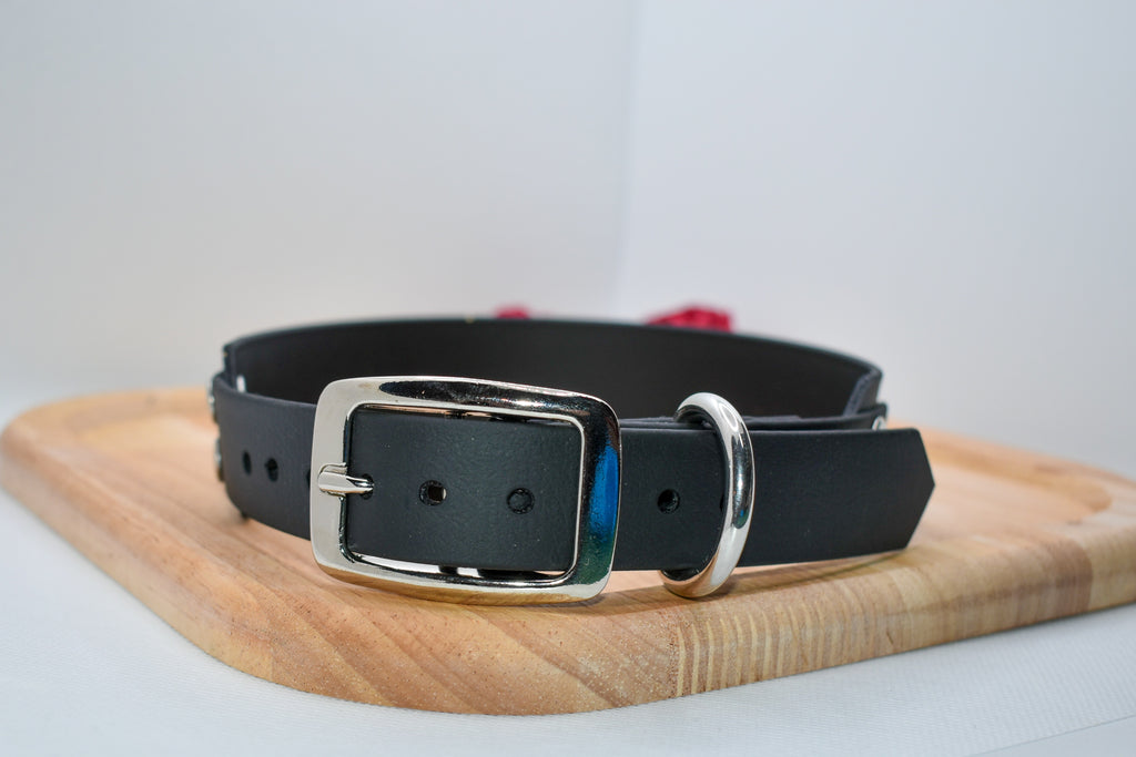 Collier Kiwi BioThane® 38mm