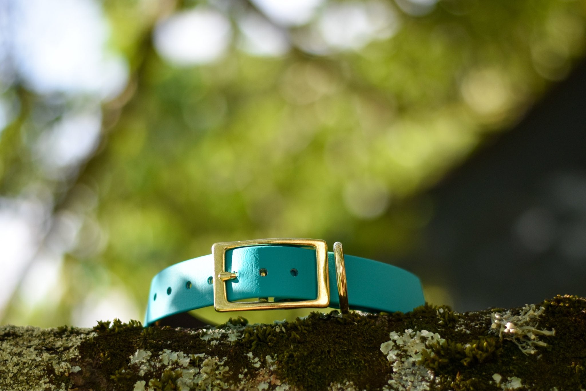 Collier Ocean Rise BioThane® 25 ou 38mm