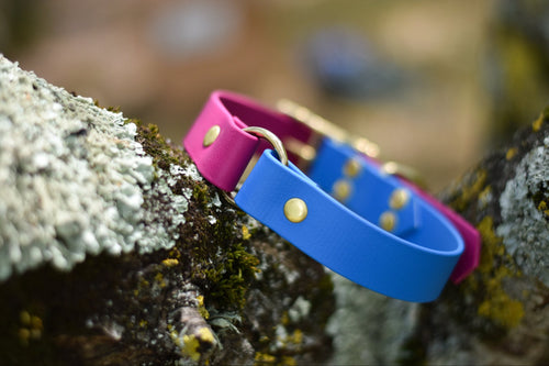Collier bicolore BioThane® 25mm