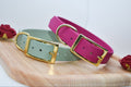 Collier Essentiel 25 mm BioThane®